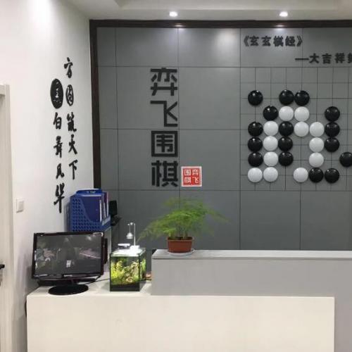 弈飞围棋